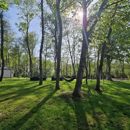 Lumi Letniskowe Z Podgrzewanym Basenem * レバル