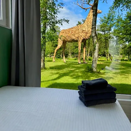 Prázdninový dům Lumi - Nad Morzem - W Otoczeniu Natury - Z Podgrzewanym Basenem I Silownia *