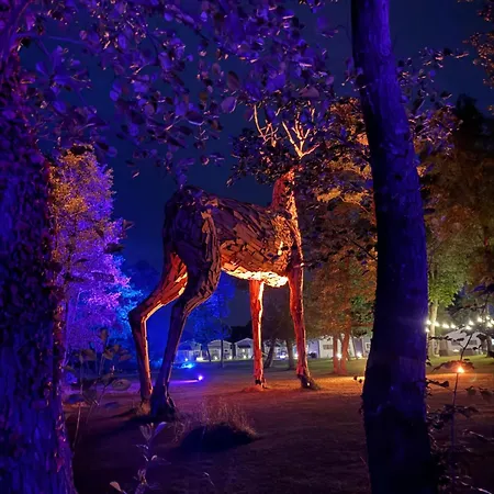 Lumi - Nad Morzem - W Otoczeniu Natury - Z Podgrzewanym Basenem I Silownia