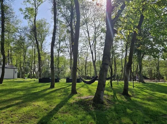 Lumi Letniskowe Z Podgrzewanym Basenem * Rewal